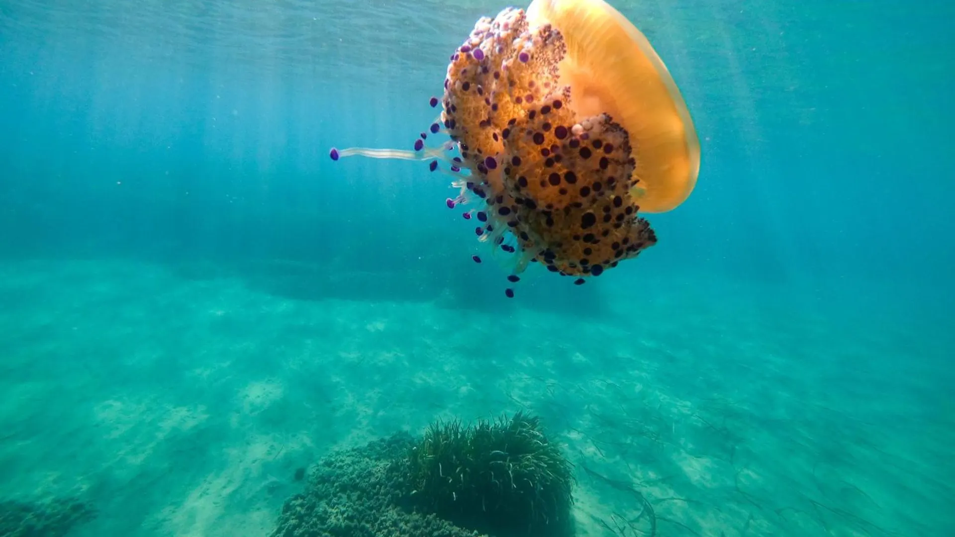 Complejo Turistico Los Bayiyos Agua Amarga  España